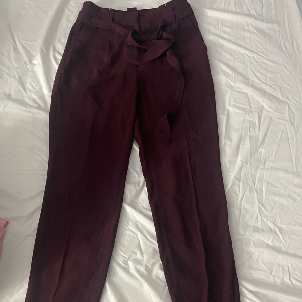 Express dress pants